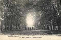 CPA Ancy Le Franc Avenue Du Château