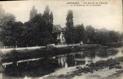 CPA Appoigny Les Bords De I'Yonne Et Le Chateau De La Saulaie