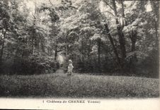 CPA Chateau De Chenez Yonne