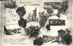 CPA Souvenir De I'Yonne Auxerre Joigny