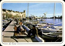 CPSM La Ciotat Le Vieux Port Et la Mairie