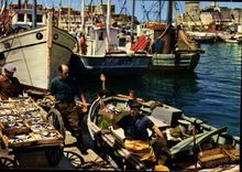 CPSM Marseille Le Vieux Port Retour De La Peche