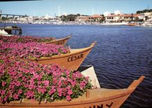 CPSM Martigues La Venise Provencale