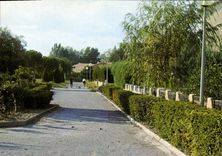 CPSM Entressen Promenade De La Restouble