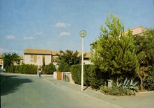 CPSM Entressen Les Aubargues