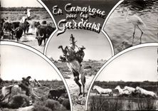 CPSM En Camargue Les Avec les gardians
