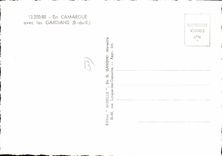 CPSM En Camargue Les Avec les gardians