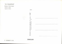 CPSM Camargue Scene Folklorique