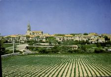 CPSM Saint Cannat Vue Generale