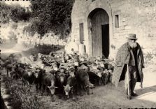 CPSM Les Belles Images De Provence vieux berger
