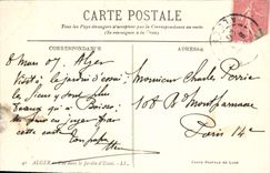 CPA Alger Vue Dans Le Jardin D'Essai