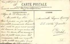 CPA Alger Jardin D'Essai Yuccas Et Palmiers