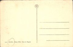 CPA Alger Palais D'Ete Sous La Pergola