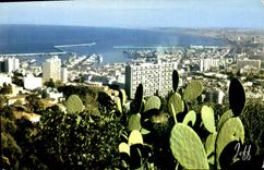 CPA Alger Panorama