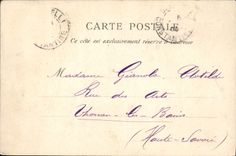 CPA Alger Allee Des Bambous Jardin D'Essai