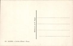 CPA Alger Jardin D'Essai Ficus