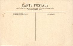 CPA Alger Vue Dans Le Jardin d'essai