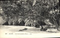 CPA Alger Un Coin Du Jardin D'Essai