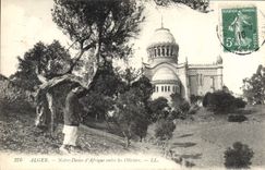 CPA Alger Notre Dame D'Afrique Entre les Oliviers