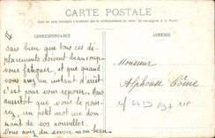 CPA Alger Jardin D'Essai Allee Des palmiers