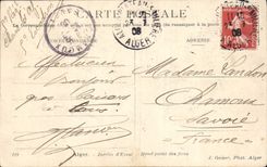 CPA Alger jardin d'essai rond point des ficus