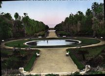 CPA Alger Jardin D'Essai