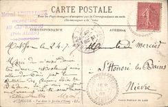 CPA Alger Vue Dans Le Jardin D'Essai