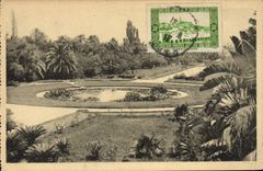 CPA Alger Jardin D'Essai Piece d'Eau