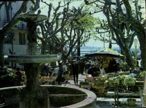 CPSM Bandol Le Marché Provencal Place De I'Eglise