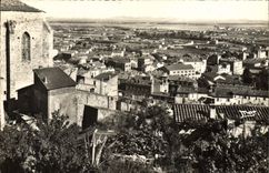 CPSM Hyeres Les Palmiers Vue Generale