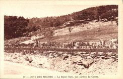 CPA Le Rayol Les Jardins Du Centre