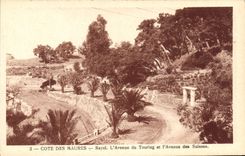 CPA Le Rayol L'Avenue Du Touring Et I'Avenue Des Suisses
