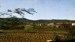 CPSM Nans Les Pins Vue Generale