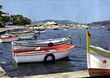 CPSM Le Brusc La Corniche La Club Des Yachts