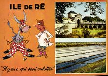 CPSM Ile De Re il y en a a Qui Sont Culottes
