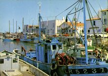 CPSM Ile De Re Le Port De La Flotte