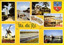 CPSM Ile De Re Route Touristique Divers Aspects