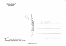 CPSM Ile De Re Route Touristique Divers Aspects