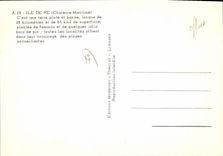 CPSM I'Ile De Re C'Est Une Terre Plate Et Basse