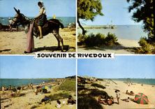 CPSM Rivedoux L'Ane En Culotte