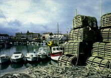 CPSM Ile De Re La Flotte En Re Dans Le Port