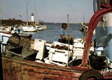 CPSM Ile De Re La Flotte En Re Le Retour De La Peche Avec