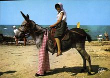 CPSM Ile De Re L'Ane En Culotte Accompagne D'Une jeune fille Kiss-Not