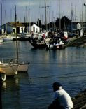 CPSM Ile De Re Ars En Re Grand Centre De Voile Le Port