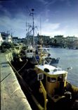 CPSM Ile De Re La Flotte En Re Vue Partielle Du Port