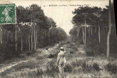 CPA Royan Le Parc Perdus Dans La Foret