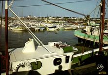 CPSM Royan Pontaillac Le Nouveau Port De Plaisance