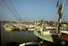 CPSM Royan Le Nouveau Port De Plaisance
