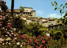CPSM Nicois Le Bar Sur Loup Ses Fleurs Et Ses Vieilles Pierres