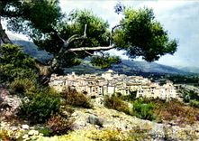 CPSM Tourrettes Sur Loup Village Medieval Station Estivale